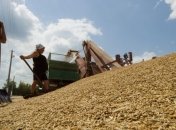 Украина завершила жатву ранних зерновых