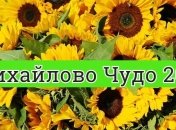 Михайлово Чудо 2019: оригинальные поздравления в прозе и открытки