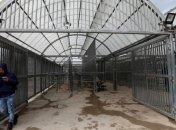 Въезд запрещен: Израиль закрывает границы