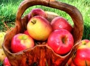 Полезные витамины, помогающие мозгу работать быстрее 