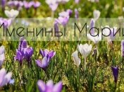 У кого сегодня день ангела: значение имени и душевные поздравления