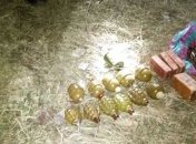 СБУ обнаружила на Донетчине тайник с боеприпасами