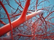 Пять продуктов, способные улучшить состав крови