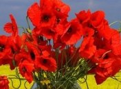 Лучшие стихи и поздравления на 9 мая