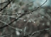 Прогноз погоды в Украине на сегодня: дожди с мокрым снегом 