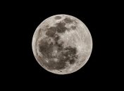 Смелые планы России: в 2030 году она приступит к колонизации Луны