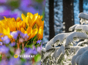 Зимова погода навесні