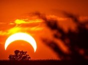 Ученые: Солнечное затмение влияет на климат