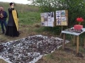 Под Днепром нашли останки советского самолета, сбитого в 1943-м, и его пилота (фото)