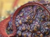 Ученые открыли новые антитела для борьбы с раком