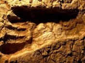 В Великобритании обнаружили древнейшие следы человека