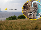 Коллаж, "Телеграф"