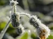 Прогноз погоды 9 ноября: синоптики обещают теплую погоду днем и заморозки ночью