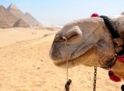 Опубликован рейтинг самых необычных достижений разных стран мира