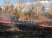 В Каменском возникло возгорание сухой травы на жилом массиве