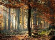 6 сентября - праздник, что категорически запрещено делать, главные приметы