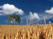 Еремей-запрягальник: приметы и обряды на 14 мая 