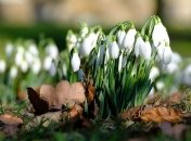 4 марта - приметы и обряды в Архипов день