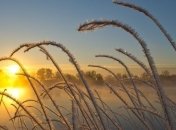 Сегодня ночью в Украине ожидаются заморозки 