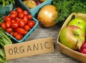 Україна — на другому місці за експортом органічної продукції до ЄС