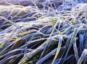 Мороз, мокрый снег и туманы: синоптики спрогнозировали погоду на 5 дней