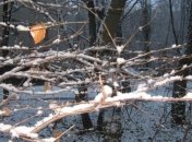 Погода в Украине 28 декабря: облачно, местами мокрый снег