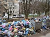 В Днепре задержали фуру с львовским мусором  