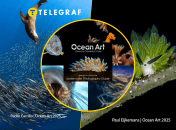 Ілюстративне фото