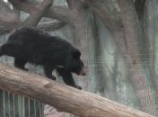 Киевский зоопарк открывает зимний сезон