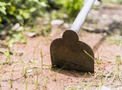 Сорняки нужно убирать всегда