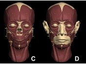 Ученым удалось воссоздать черты лица "инопланетянки" из Кенджу
