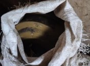 СБУ: На Луганщине обнаружен тайник с противотанковыми минами