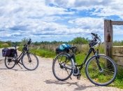 Молдаване попали под французский суд за кражу 250 элитных велосипедов