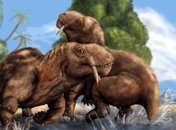 Ученые-палеонтологи назвали первых бодавшихся самцов