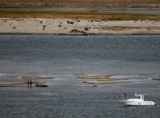 Возобновлены поиски упавшего в Дунай работника элеватора