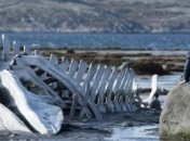 Фильм "Левиафан" номинирован на "Оскар"