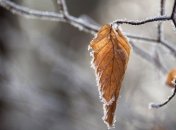 Прогноз погоды в Украине на 28 ноября: на севере и юге страны ожидаются дожди с мокрым снегом 