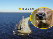 Київське водосховище