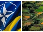 В общей сложности Альянсу пока "завещали" всего лишь чуть больше 13 га земли