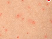 В США назначили нового командующего коалиции против ИГИЛ