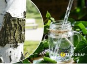 Березовый сок