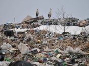 Полиция не дала ввезти в Глуховский район около 100 тонн львовского мусора