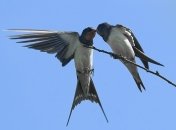 19 марта. Приметы дня