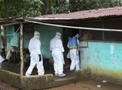 Масштаб эпидемии лихорадки Эбола недооценили