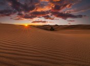 "Олешківські піски"