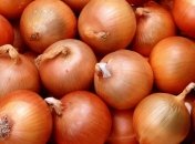 Невероятные свойства лука в борьбе с болезнями 