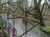 В Германии в лесу нашли неизвестный фрагмент Берлинской стены