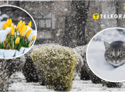 Погода в Украине