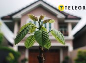 Каждое дерево несет в себе особую энергию, и главное – это ваша любовь и внимание к нему.