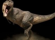 Ученые нашли предка тираннозавра